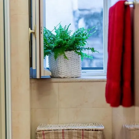 Old Town Charming Retreat - Stradun Dubrovnik