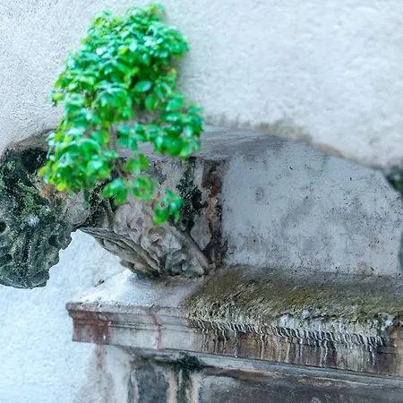 Old Town Charming Retreat - Stradun * Dubrovnik